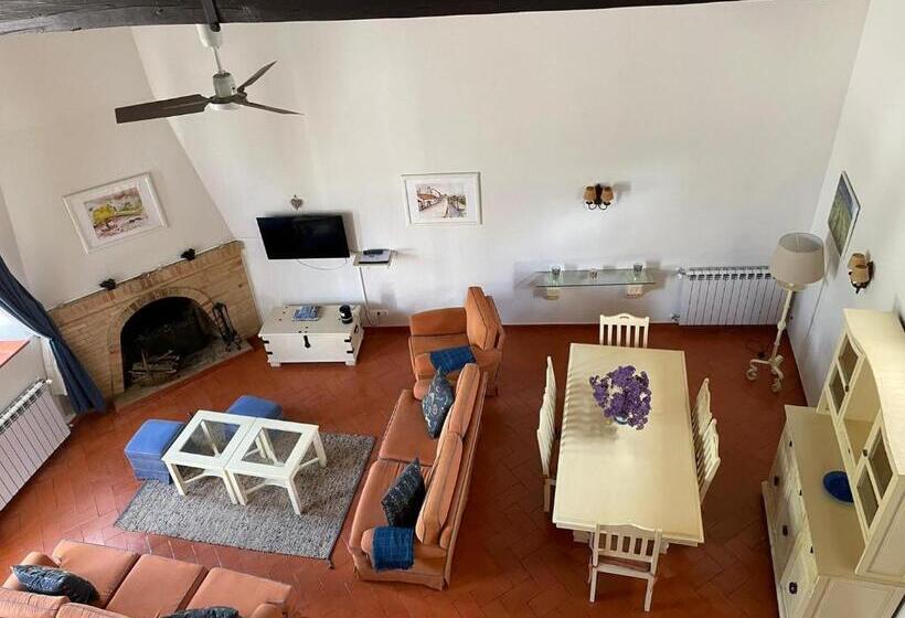 شقة غرفتين, Marchanta