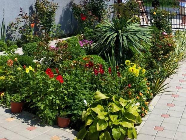 اتاق استاندارد با چشم‌انداز باغ, Vila Mila Riverside Apartments