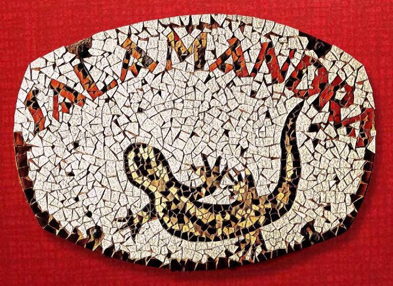 Chalet met 1 Slaapkamer, Salamandra Guest House