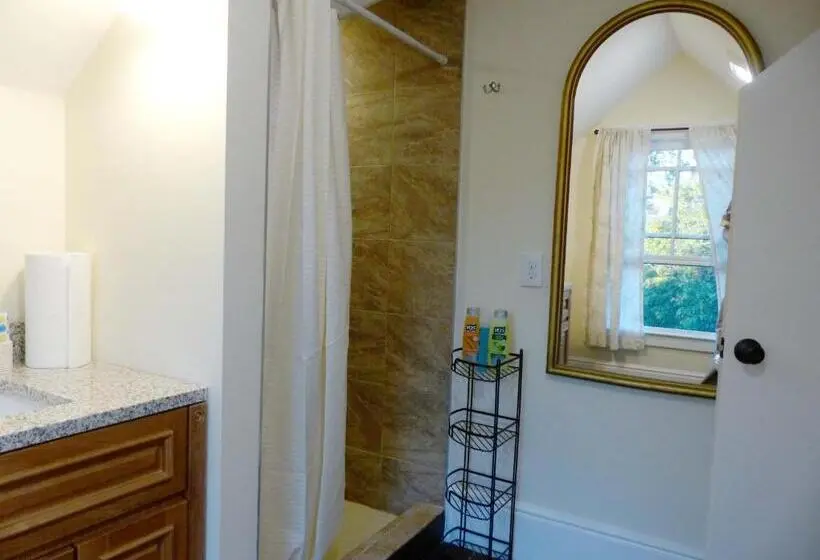 اتاق استاندارد با سرویس بهداشتی مشترک, Davis Square Inn