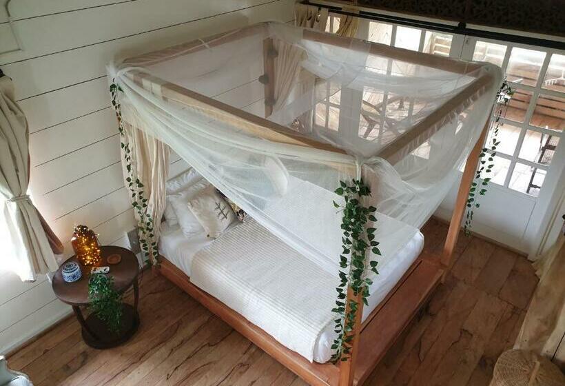 家庭海景房, Memo's Beach