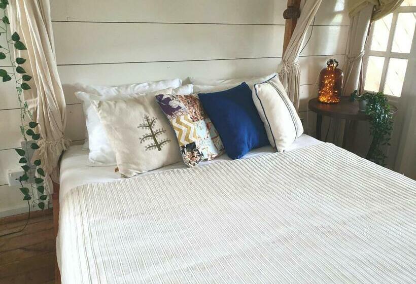 家庭海景房, Memo's Beach