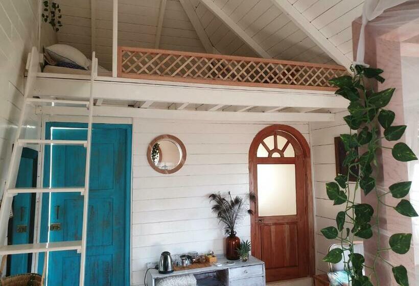 家庭海景房, Memo's Beach