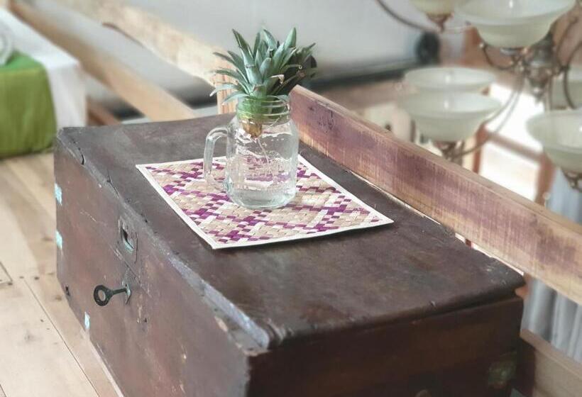 家庭间, Memo's Beach