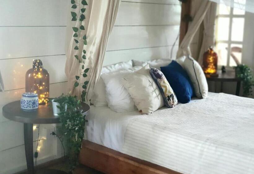 标准间, Memo's Beach