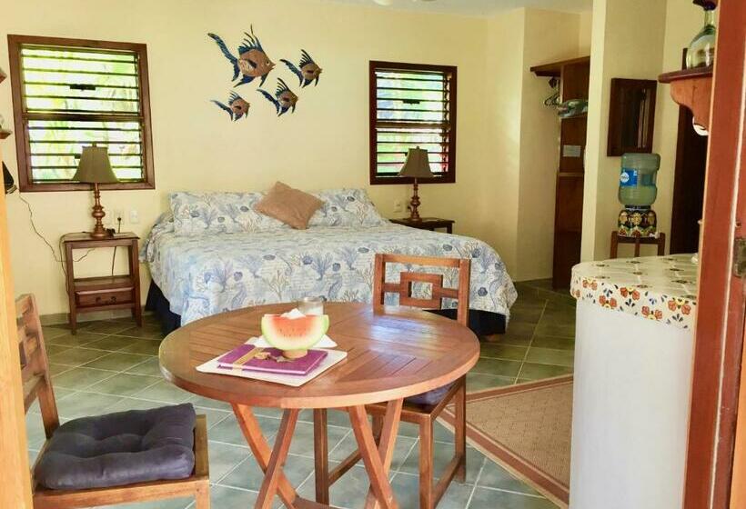 استودیو استاندارد با چشمانداز باغ, Nah Uxibal Villa And Casitas