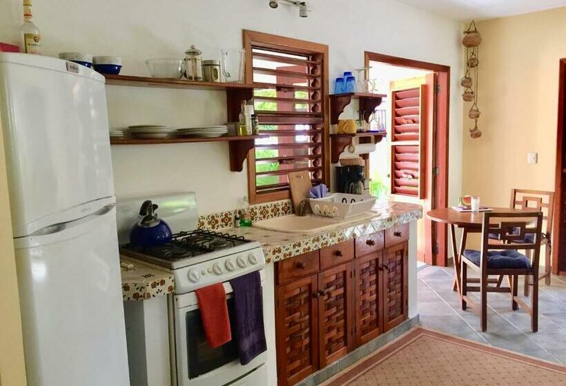 استودیو استاندارد با چشمانداز باغ, Nah Uxibal Villa And Casitas