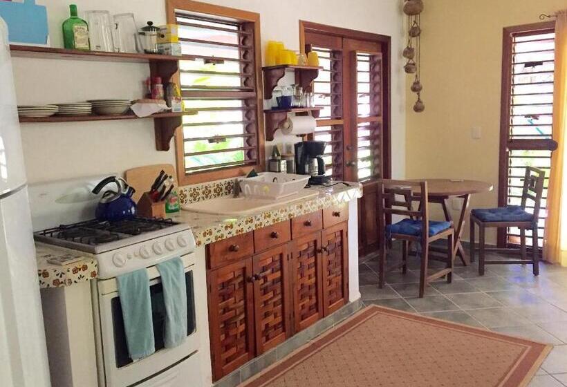 استودیو استاندارد با چشمانداز باغ, Nah Uxibal Villa And Casitas