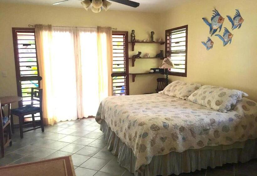 Bahçe manzaralı standart stüdyo, Nah Uxibal Villa And Casitas