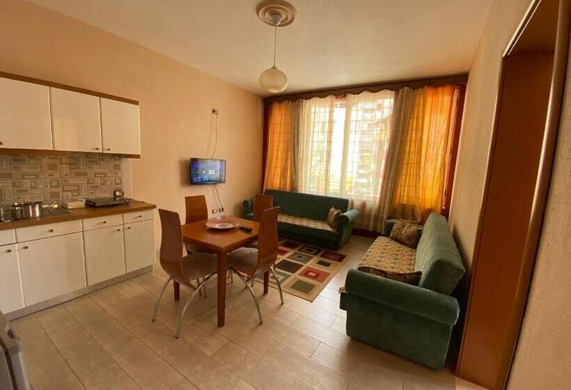 חדר משפחתי, Vila Topciu