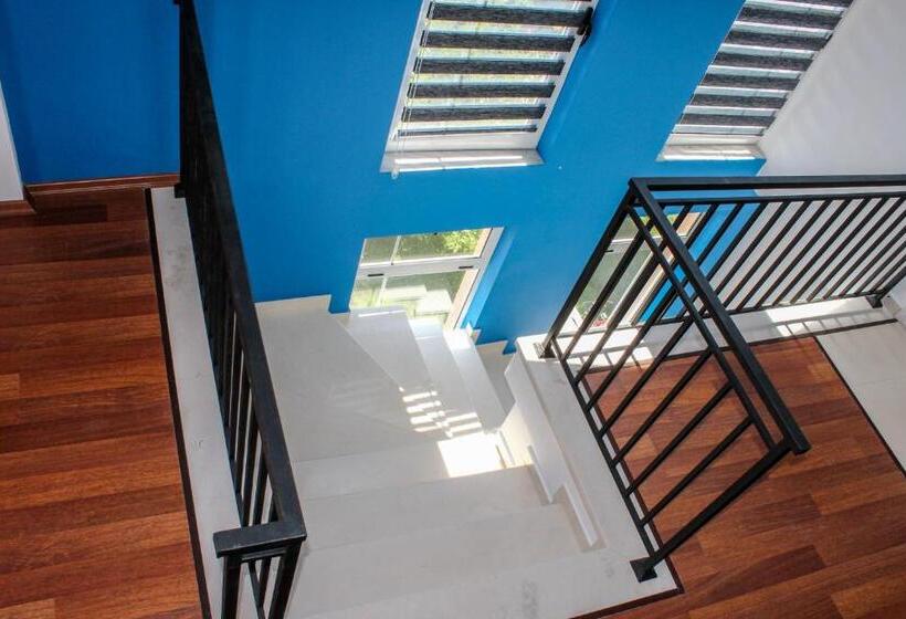 סוויטה עם מרפסת, Vila Topciu