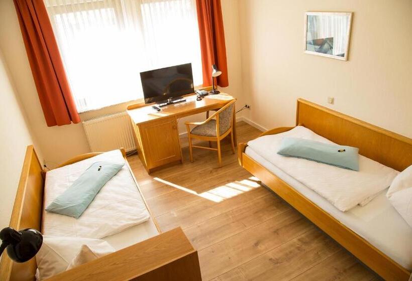 이코노미 룸, Janssen