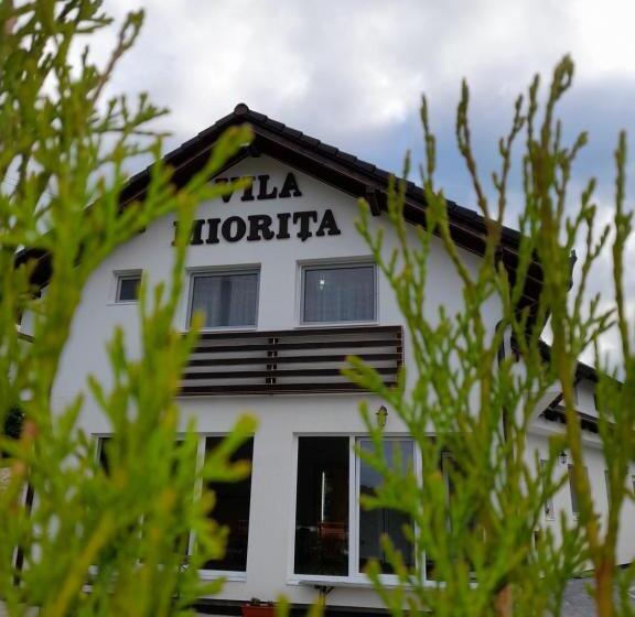 חדר משפחתי דלוקס, Vila Miorita