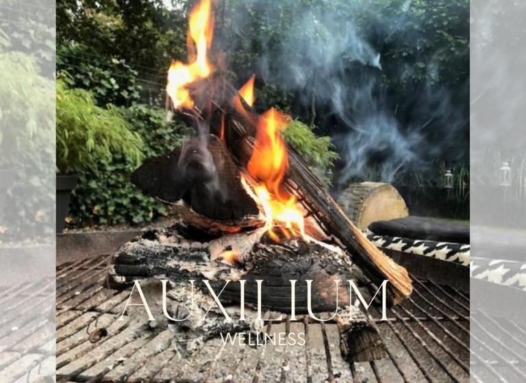 デラックスルーム, Auxiliumwellness Get Back To Serenity