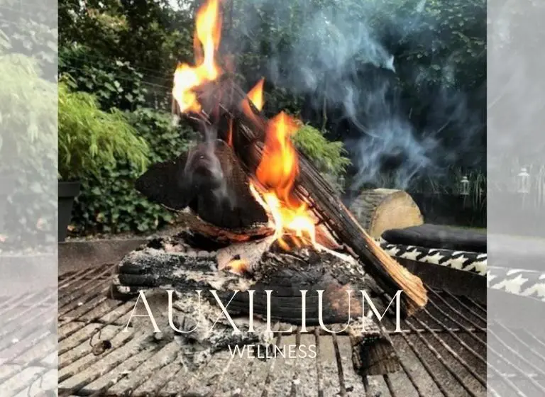 デラックスルーム, Auxiliumwellness Get Back To Serenity