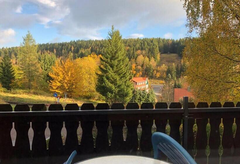 غرفة قياسية مزوَّدة بشُرفة, Pension Raststüb'l