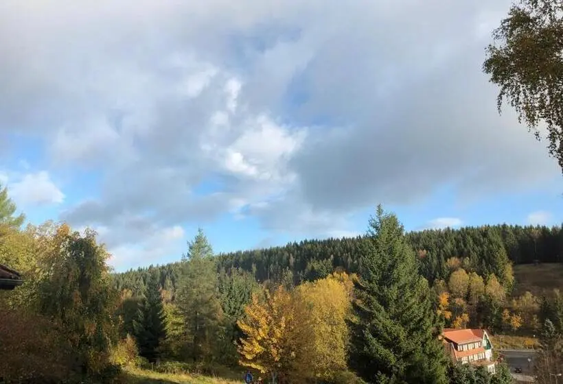 Standard-huone Parveke, Pension Raststüb'l