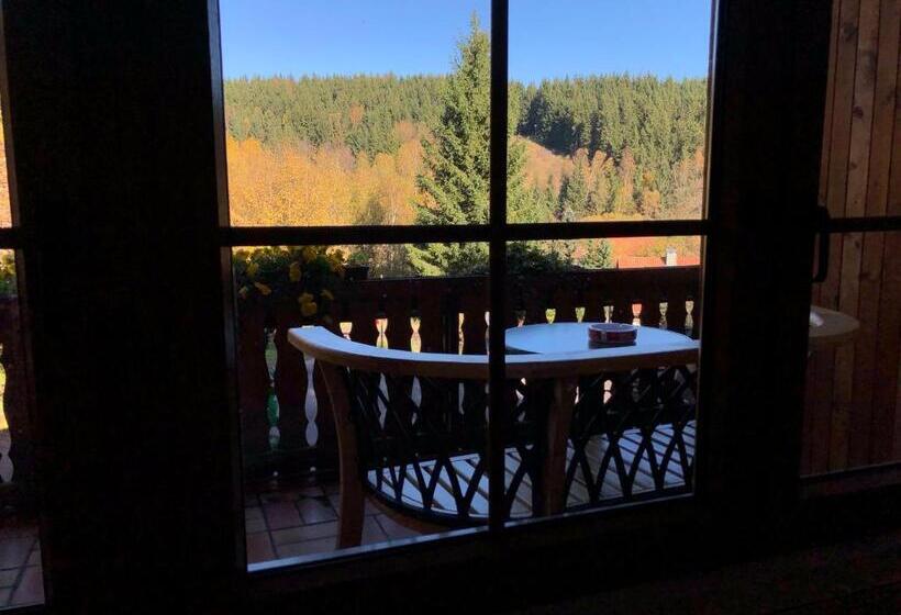 إستديو قياسى مزود بشرفة, Pension Raststüb'l