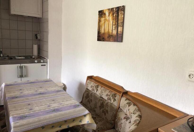 إستديو قياسى مزود بشرفة, Pension Raststüb'l