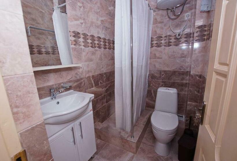 اتاق استاندارد, Guest House Belyi Lebed
