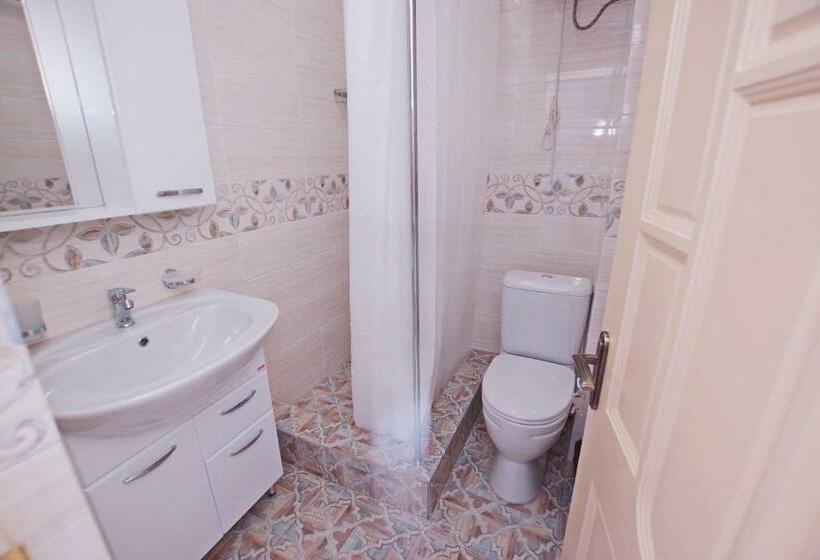 اتاق استاندارد, Guest House Belyi Lebed