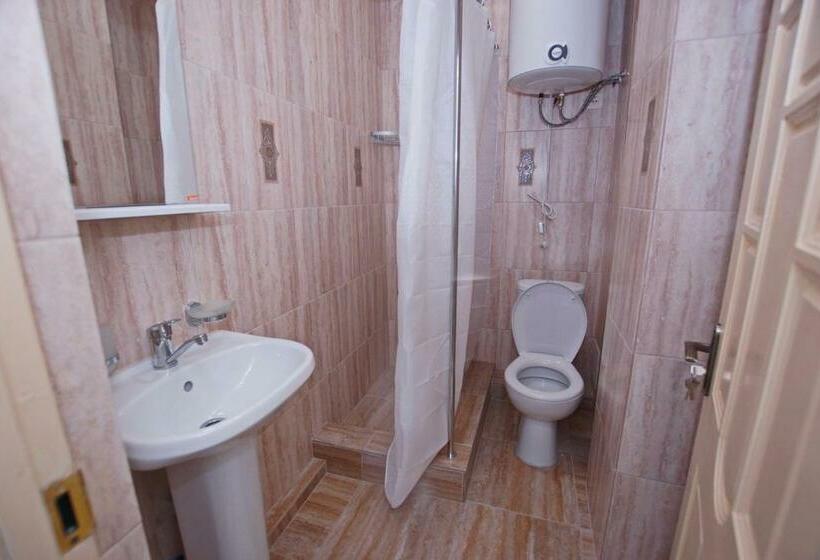 اتاق استاندارد, Guest House Belyi Lebed