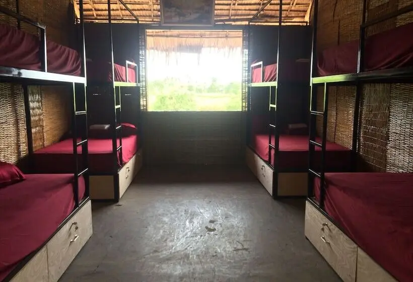 تختخواب در اتاق مشترک, Hometravel Mekong Can Tho