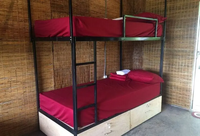 تختخواب در اتاق مشترک, Hometravel Mekong Can Tho