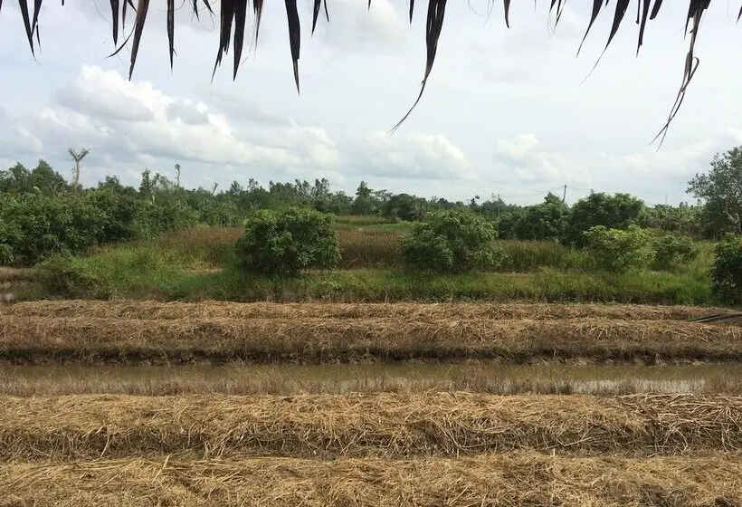 تختخواب در اتاق مشترک, Hometravel Mekong Can Tho