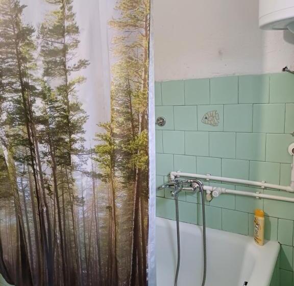 اتاق استاندارد سه تخته با سرویس بهداشتی مشترک, Sobe Sanja