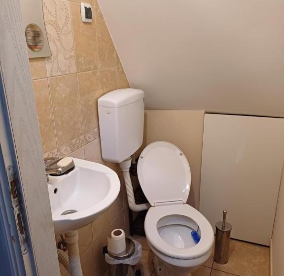 اتاق استاندارد با سرویس بهداشتی مشترک, Sobe Sanja