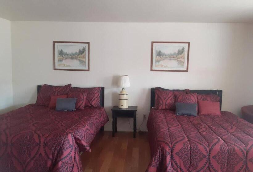 غرفة ديلوكس, 66 Motel