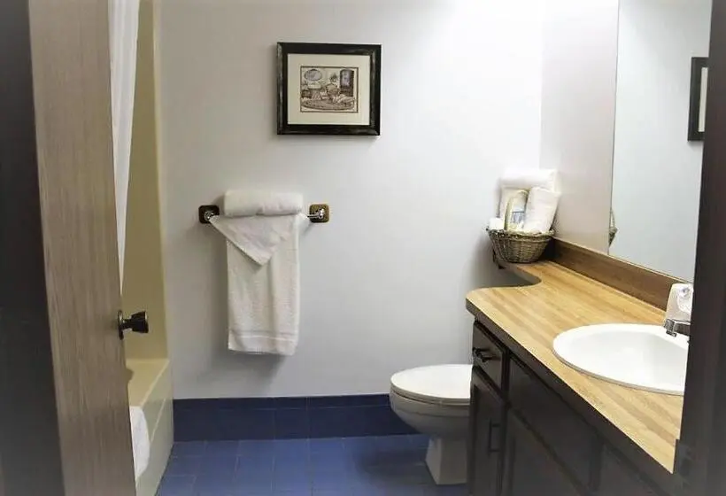 اتاق لوکس یک تخته, Basswood Resort