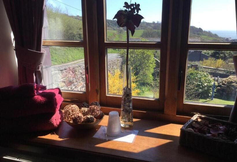 اتاق لوکس با چشم‌انداز دریا, Coombe House B&b