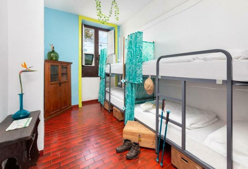Четырехместный Номер Economy, Patio Hostel