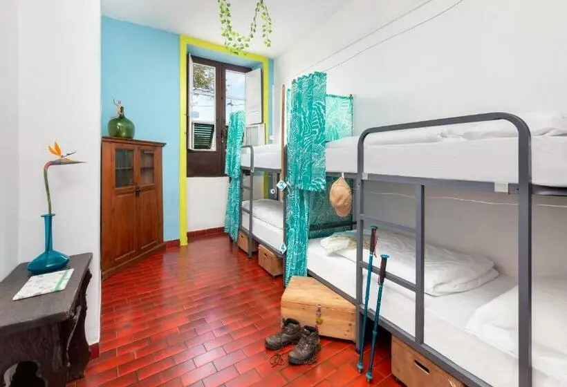 Economy Quadruple Room, Patio Hostel