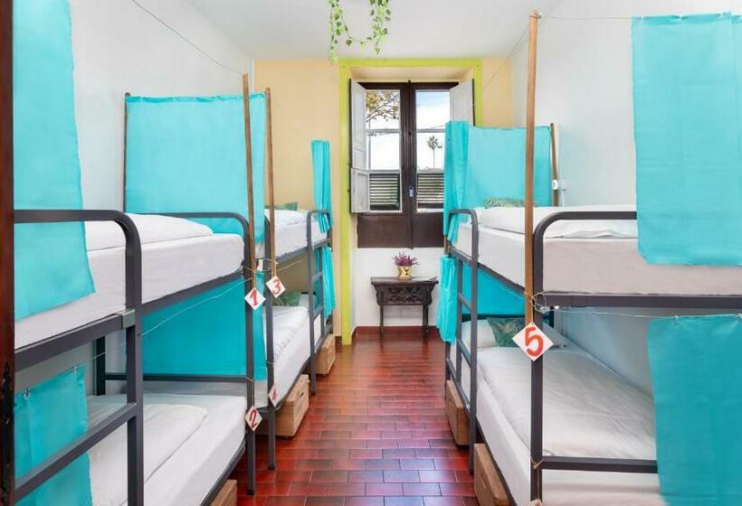 غرفة عائلية, Patio Hostel