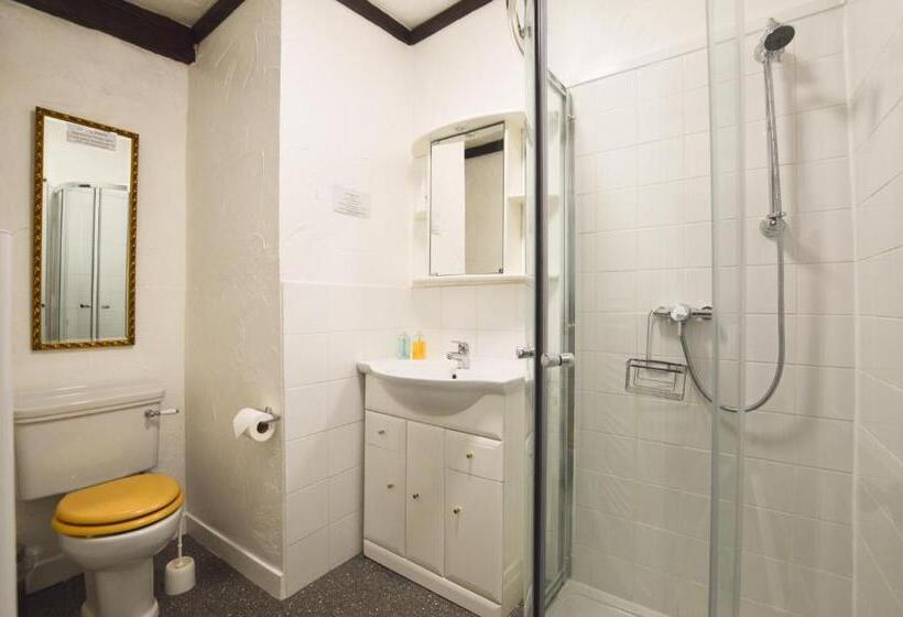 带大床的标准间, The Owls