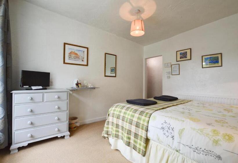 带大床的标准间, The Owls