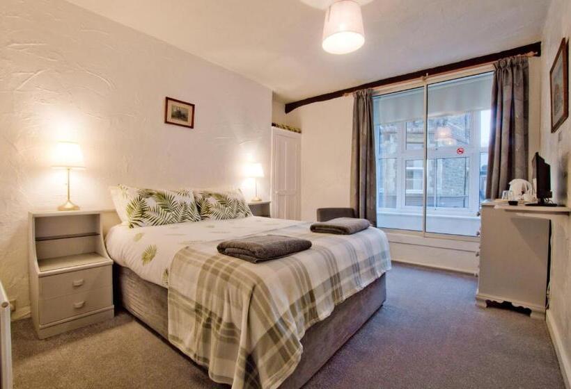 带大床的标准间, The Owls