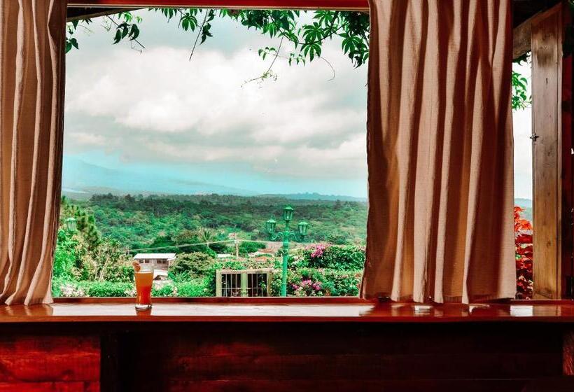 اتاق استاندارد, Juayua