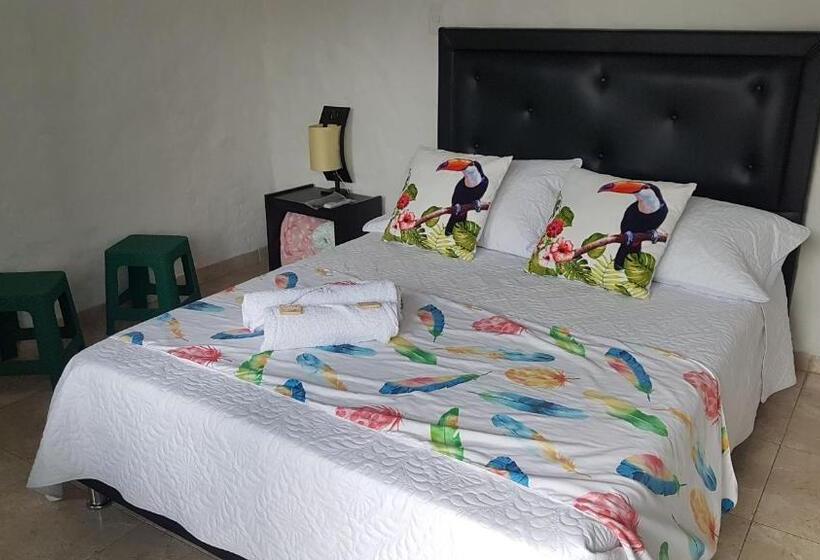 标准间, Villa Apolonia