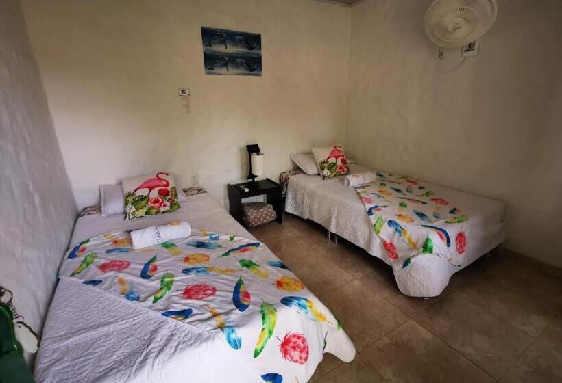 标准间, Villa Apolonia