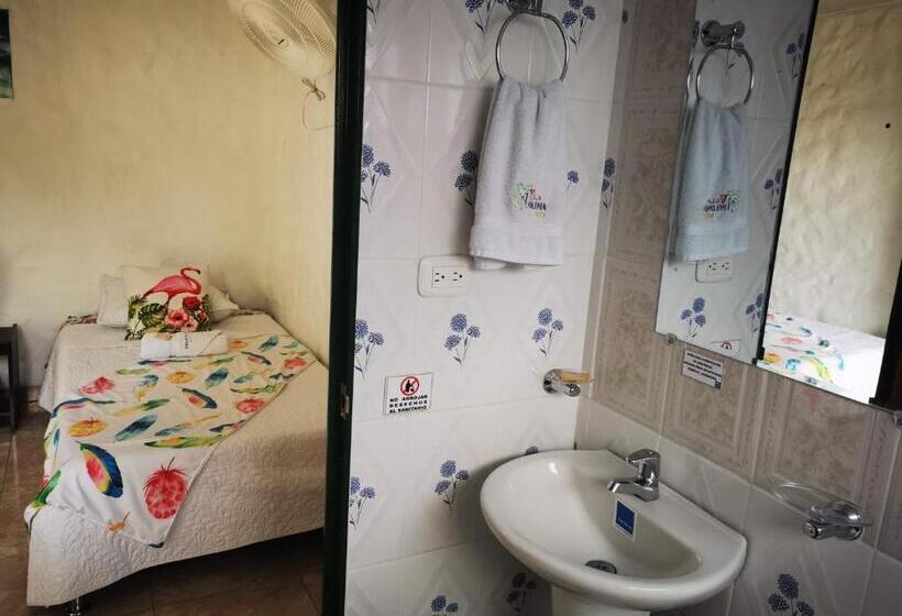 标准间, Villa Apolonia