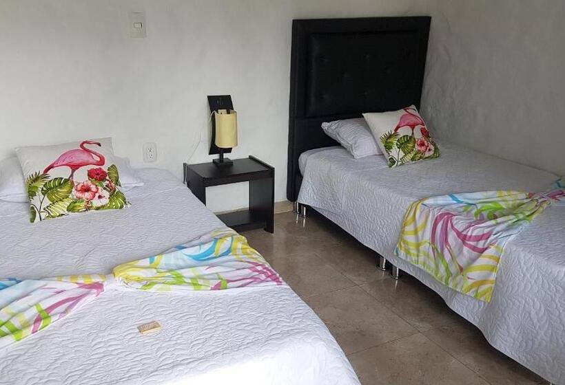 标准间, Villa Apolonia