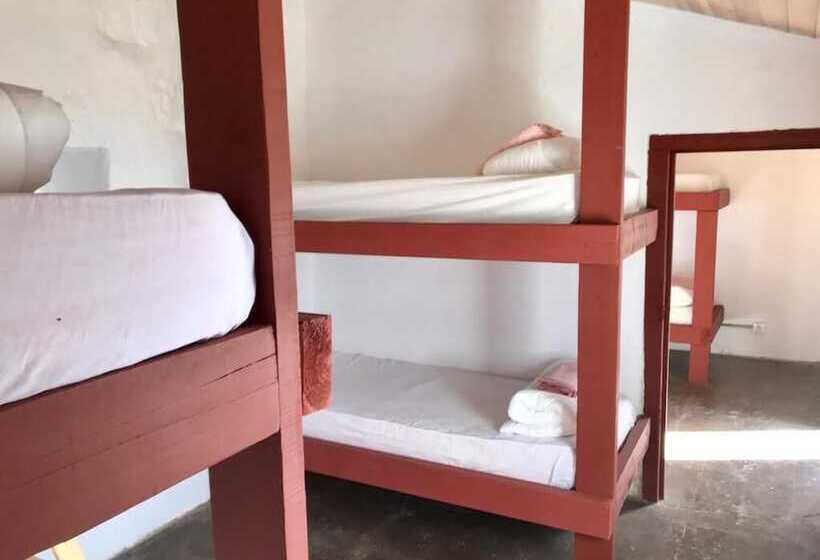 سرير فى غرفة مشتركه, Mountain Hostel Finca La Isa By Rose