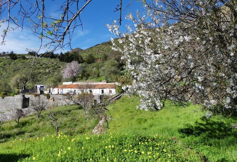 غرفة قياسية, Mountain Hostel Finca La Isa By Rose