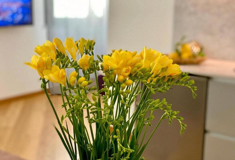 استودیوی استاندارد, Palazzina B Contemporary Studio