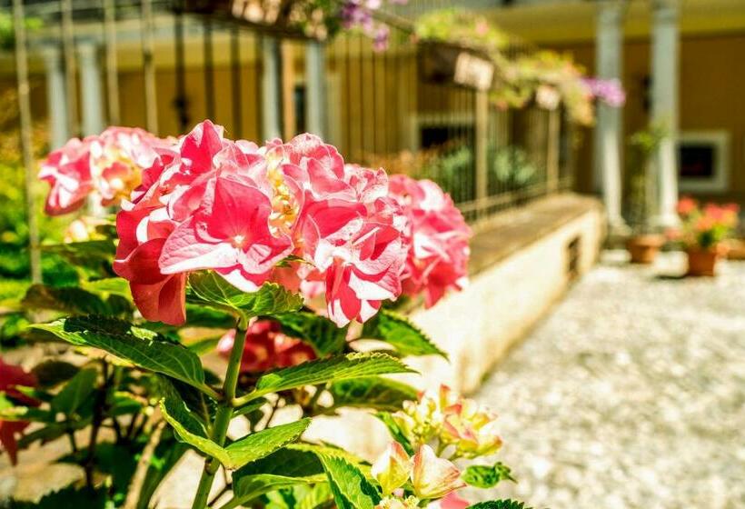 إستوديو قياسى, Villa Santa Caterina