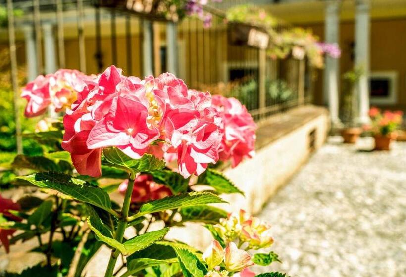 شقة غرفة واحدة, Villa Santa Caterina